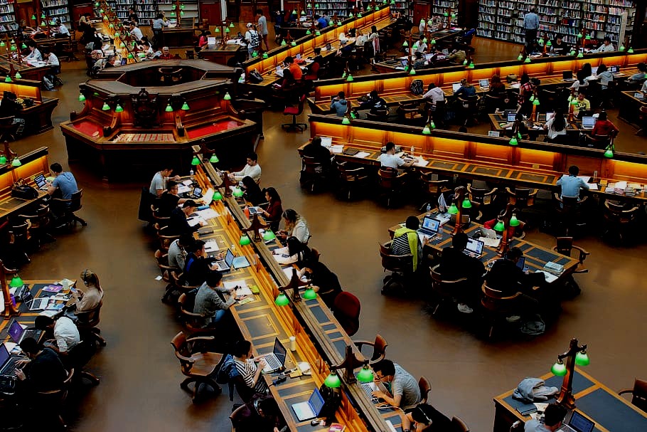 students studying in school library